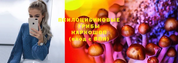 apvp Новодвинск