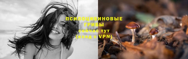 метамфетамин Новозыбков